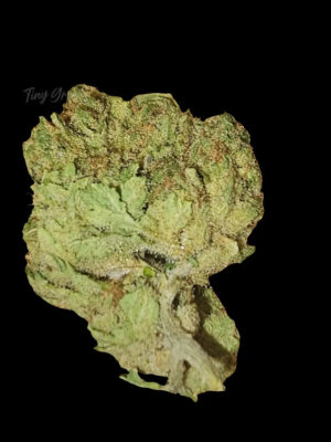 Titre produit, Tinygreen, Yvedon, CBD, Suisse, vape