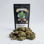 Titre produit, Tinygreen, Yvedon, CBD, Suisse, vape